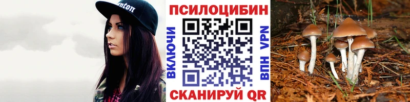 Купить где  Лермонтов  Псилоцибиновые грибы ЛСД 